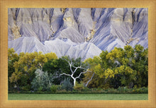 Load image into Gallery viewer, Ghost Tree
