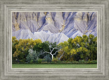 Load image into Gallery viewer, Ghost Tree
