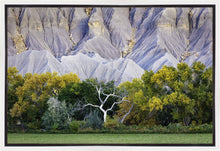 Load image into Gallery viewer, Ghost Tree
