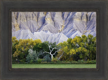 Load image into Gallery viewer, Ghost Tree
