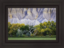 Load image into Gallery viewer, Ghost Tree
