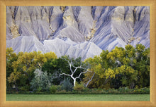 Load image into Gallery viewer, Ghost Tree

