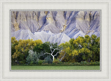 Load image into Gallery viewer, Ghost Tree
