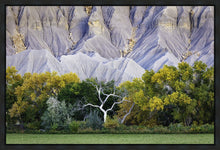 Load image into Gallery viewer, Ghost Tree
