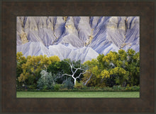 Load image into Gallery viewer, Ghost Tree
