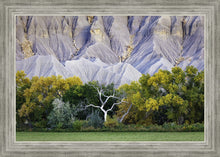 Load image into Gallery viewer, Ghost Tree
