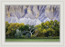 Load image into Gallery viewer, Ghost Tree
