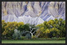 Load image into Gallery viewer, Ghost Tree
