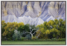 Load image into Gallery viewer, Ghost Tree

