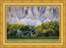 Load image into Gallery viewer, Ghost Tree
