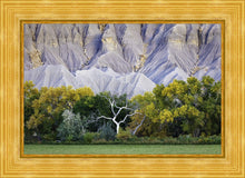 Load image into Gallery viewer, Ghost Tree
