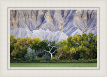 Load image into Gallery viewer, Ghost Tree

