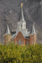Load image into Gallery viewer, Provo City Center Gallery Wrap
