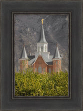 Load image into Gallery viewer, Provo City Center
