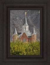 Load image into Gallery viewer, Provo City Center
