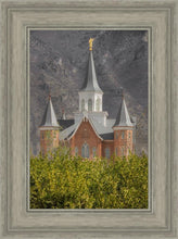 Load image into Gallery viewer, Provo City Center
