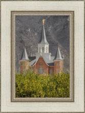 Load image into Gallery viewer, Provo City Center
