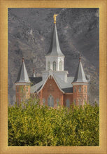 Load image into Gallery viewer, Provo City Center
