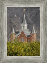 Load image into Gallery viewer, Provo City Center
