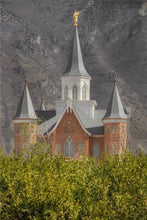 Load image into Gallery viewer, Provo City Center
