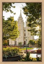 Load image into Gallery viewer, Peaceful Pathways Gallery Wrap
