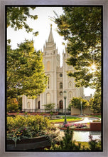 Load image into Gallery viewer, Peaceful Pathways Gallery Wrap
