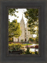 Load image into Gallery viewer, Peaceful Pathways
