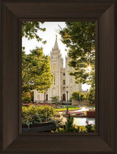 Load image into Gallery viewer, Salt Lake Peaceful Pathways
