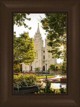 Load image into Gallery viewer, Salt Lake Peaceful Pathways
