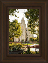 Load image into Gallery viewer, Salt Lake Peaceful Pathways
