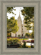 Load image into Gallery viewer, Peaceful Pathways
