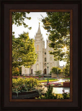 Load image into Gallery viewer, Salt Lake Peaceful Pathways
