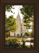 Load image into Gallery viewer, Salt Lake Peaceful Pathways
