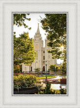 Load image into Gallery viewer, Peaceful Pathways
