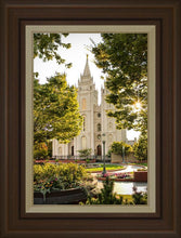 Load image into Gallery viewer, Salt Lake Peaceful Pathways

