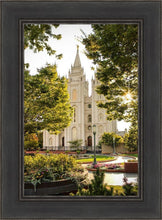 Load image into Gallery viewer, Peaceful Pathways
