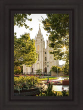 Load image into Gallery viewer, Peaceful Pathways
