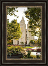 Load image into Gallery viewer, Salt Lake Peaceful Pathways
