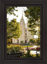 Load image into Gallery viewer, Peaceful Pathways
