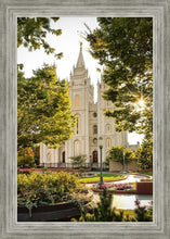 Load image into Gallery viewer, Peaceful Pathways
