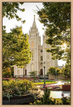 Load image into Gallery viewer, Peaceful Pathways Gallery Wrap

