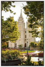 Load image into Gallery viewer, Peaceful Pathways Gallery Wrap
