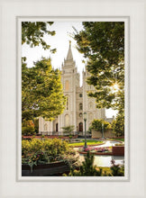 Load image into Gallery viewer, Peaceful Pathways
