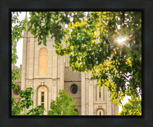 Load image into Gallery viewer, Salt Lake Brilliant Light Gallery Wrap
