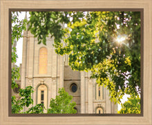 Load image into Gallery viewer, Salt Lake Brilliant Light Gallery Wrap
