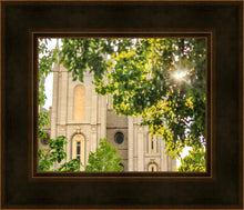 Load image into Gallery viewer, Salt Lake Brilliant Light
