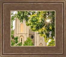 Load image into Gallery viewer, Salt Lake Brilliant Light
