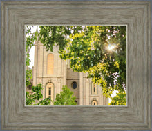 Load image into Gallery viewer, Salt Lake Brilliant Light
