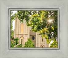 Load image into Gallery viewer, Salt Lake Brilliant Light
