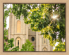Load image into Gallery viewer, Salt Lake Brilliant Light Gallery Wrap
